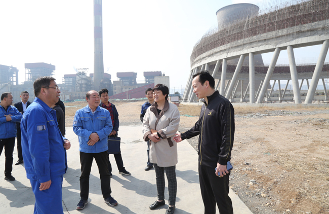 洛陽市重點辦主任顧海嬋一行到 萬基控股2×60萬千瓦機(jī)組工地調(diào)研
