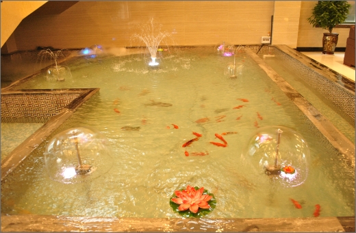 內部景觀(guān)
